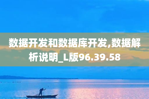 数据开发和数据库开发,数据解析说明_L版96.39.58