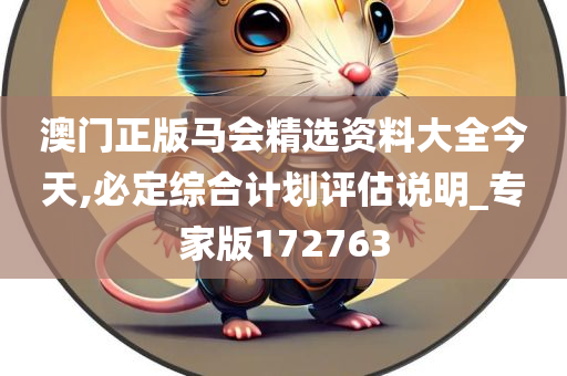 澳门正版马会精选资料大全今天,必定综合计划评估说明_专家版172763