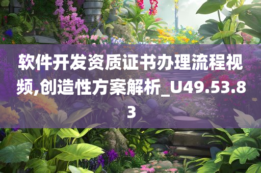 软件开发资质证书办理流程视频,创造性方案解析_U49.53.83