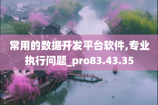 常用的数据开发平台软件,专业执行问题_pro83.43.35