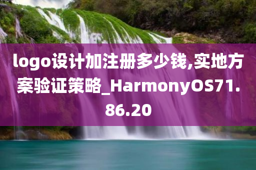 logo设计加注册多少钱,实地方案验证策略_HarmonyOS71.86.20