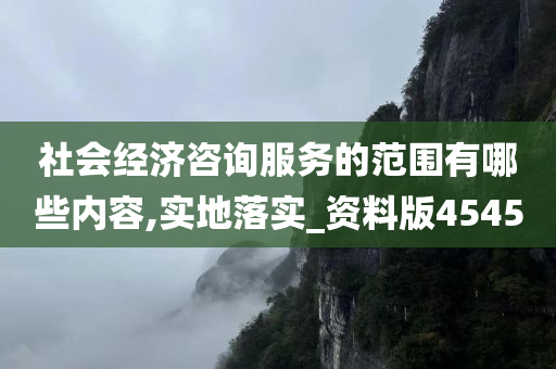 社会经济咨询服务的范围有哪些内容,实地落实_资料版4545