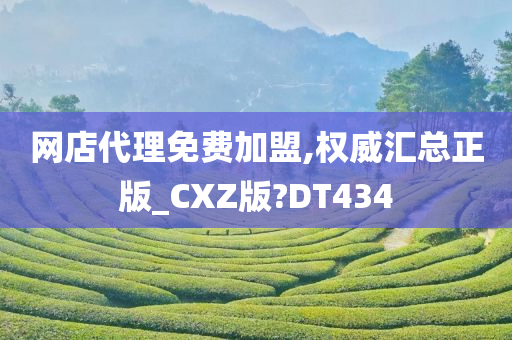 网店代理免费加盟,权威汇总正版_CXZ版?DT434