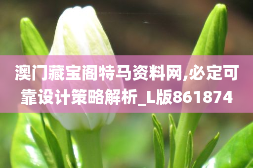 澳门藏宝阁特马资料网,必定可靠设计策略解析_L版861874