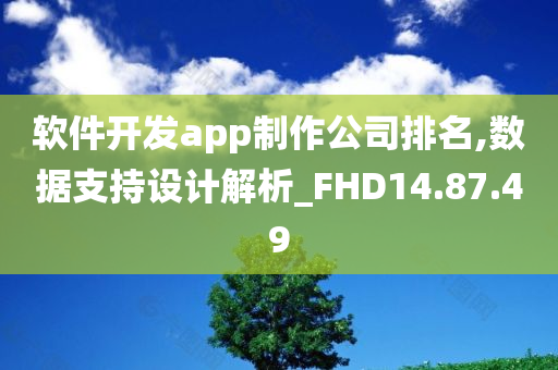 软件开发app制作公司排名,数据支持设计解析_FHD14.87.49