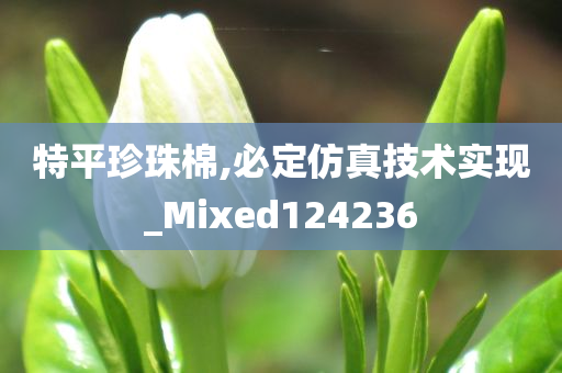 特平珍珠棉,必定仿真技术实现_Mixed124236