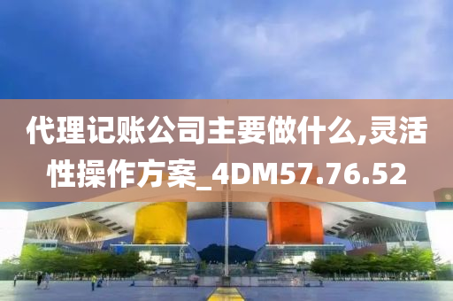 代理记账公司主要做什么,灵活性操作方案_4DM57.76.52