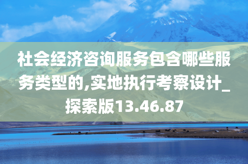 社会经济咨询服务包含哪些服务类型的,实地执行考察设计_探索版13.46.87