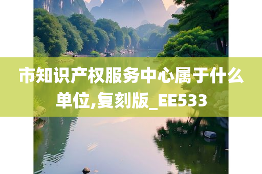 市知识产权服务中心属于什么单位,复刻版_EE533