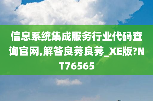 信息系统集成服务行业代码查询官网,解答良莠良莠_XE版?NT76565