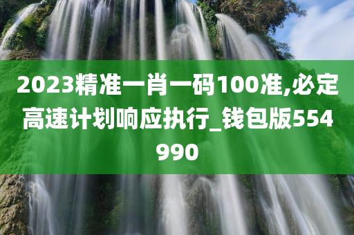 2023精准一肖一码100准,必定高速计划响应执行_钱包版554990