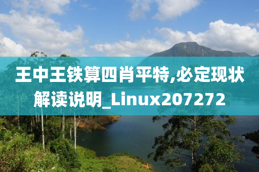 王中王铁算四肖平特,必定现状解读说明_Linux207272