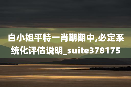 白小姐平特一肖期期中,必定系统化评估说明_suite378175