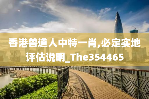 香港兽道人中特一肖,必定实地评估说明_The354465