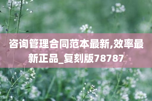 咨询管理合同范本最新,效率最新正品_复刻版78787