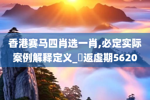 香港赛马四肖选一肖,必定实际案例解释定义_‌返虚期5620