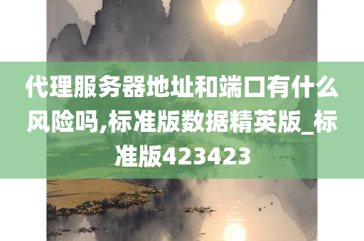 代理服务器地址和端口有什么风险吗,标准版数据精英版_标准版423423