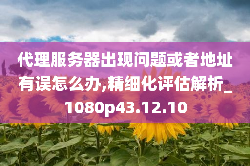 代理服务器出现问题或者地址有误怎么办,精细化评估解析_1080p43.12.10