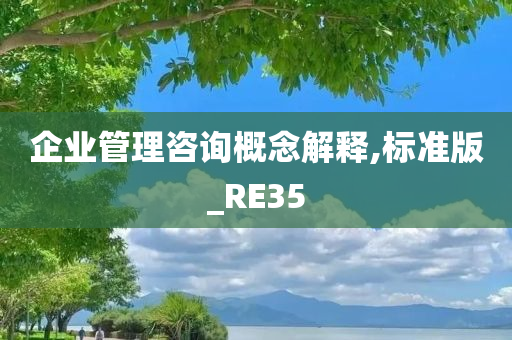 企业管理咨询概念解释,标准版_RE35