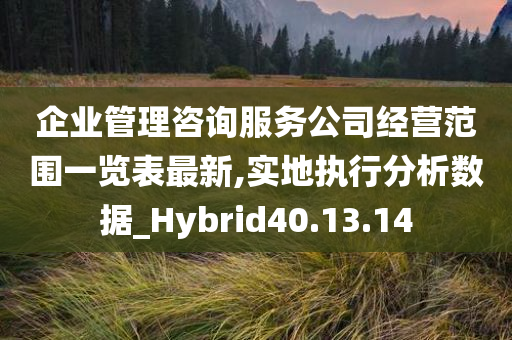 企业管理咨询服务公司经营范围一览表最新,实地执行分析数据_Hybrid40.13.14