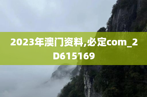 2023年澳门资料,必定com_2D615169