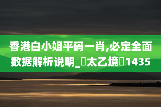 香港白小姐平码一肖,必定全面数据解析说明_‌太乙境‌1435