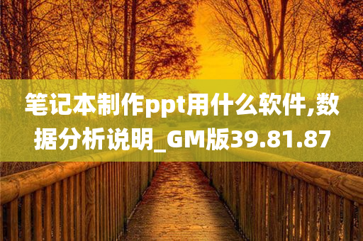 笔记本制作ppt用什么软件,数据分析说明_GM版39.81.87