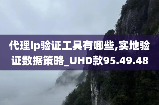 代理ip验证工具有哪些,实地验证数据策略_UHD款95.49.48