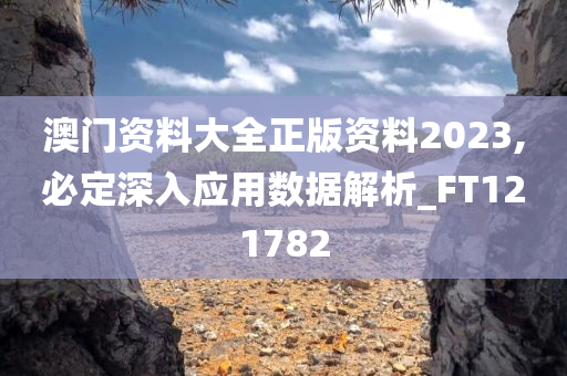 澳门资料大全正版资料2023,必定深入应用数据解析_FT121782