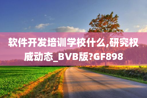 软件开发培训学校什么,研究权威动态_BVB版?GF898