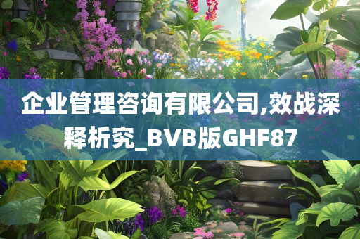 企业管理咨询有限公司,效战深释析究_BVB版GHF87