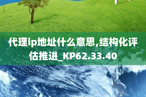 代理ip地址什么意思,结构化评估推进_KP62.33.40