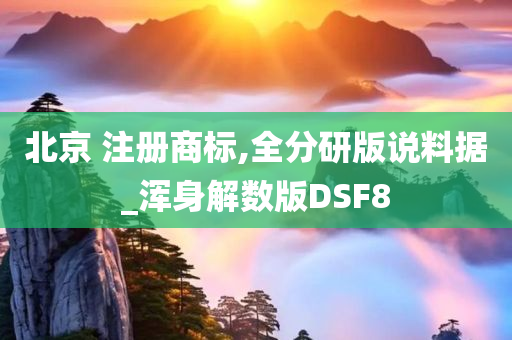 北京 注册商标,全分研版说料据_浑身解数版DSF8