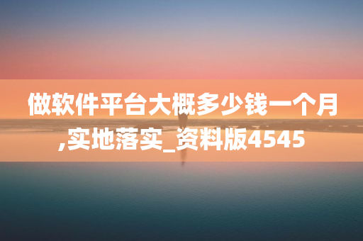 做软件平台大概多少钱一个月,实地落实_资料版4545