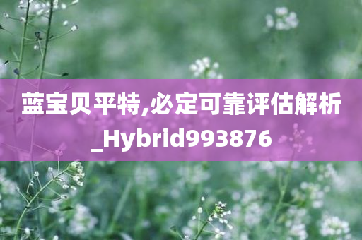 蓝宝贝平特,必定可靠评估解析_Hybrid993876