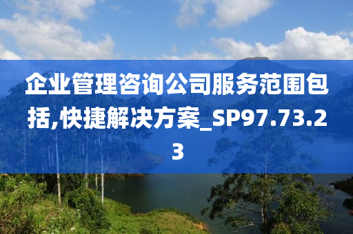 企业管理咨询公司服务范围包括,快捷解决方案_SP97.73.23