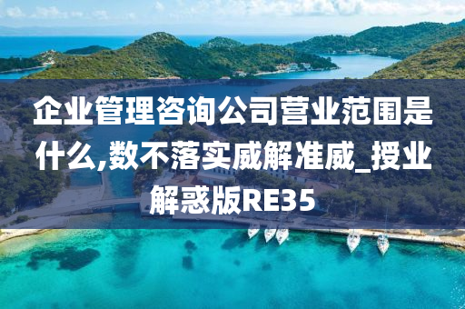 企业管理咨询公司营业范围是什么,数不落实威解准威_授业解惑版RE35