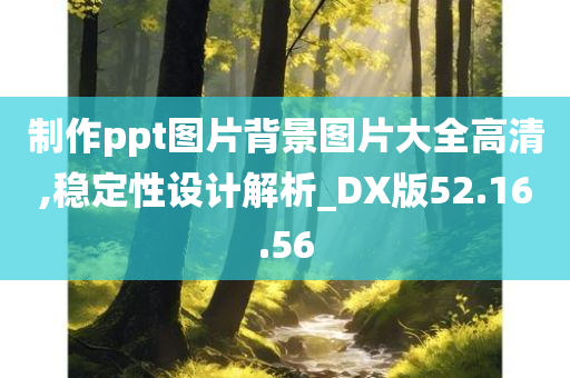 制作ppt图片背景图片大全高清,稳定性设计解析_DX版52.16.56