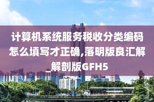 计算机系统服务税收分类编码怎么填写才正确,落明版良汇解_解剖版GFH5