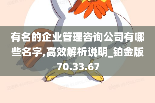 有名的企业管理咨询公司有哪些名字,高效解析说明_铂金版70.33.67