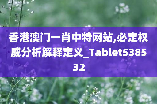 香港澳门一肖中特网站,必定权威分析解释定义_Tablet538532