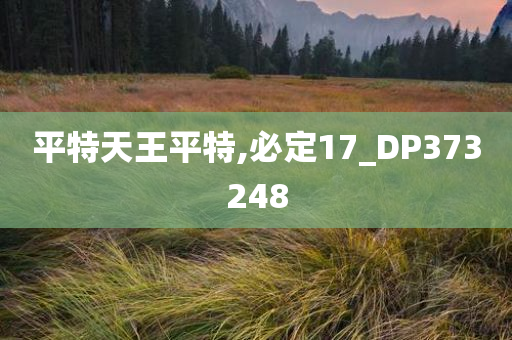 平特天王平特,必定17_DP373248