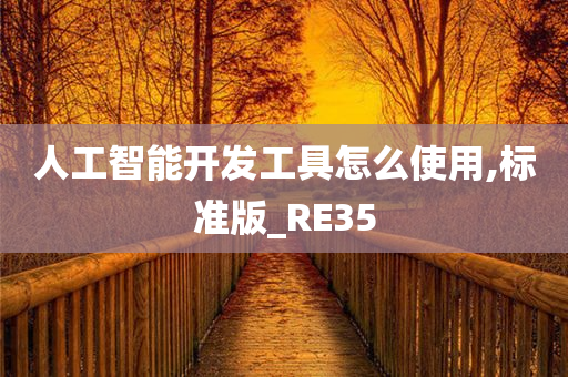 人工智能开发工具怎么使用,标准版_RE35