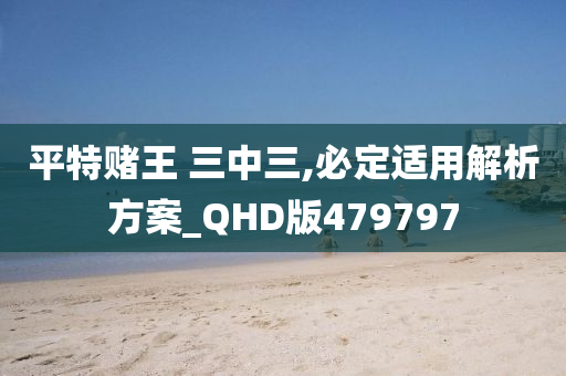 平特赌王 三中三,必定适用解析方案_QHD版479797