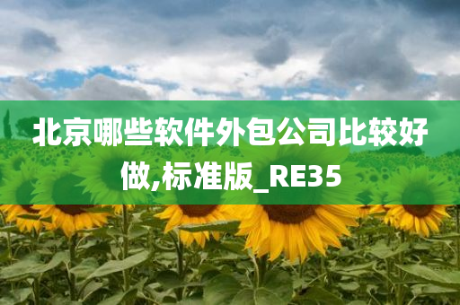 北京哪些软件外包公司比较好做,标准版_RE35