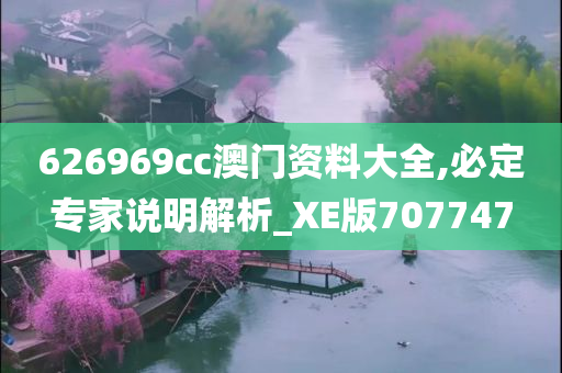 626969cc澳门资料大全,必定专家说明解析_XE版707747