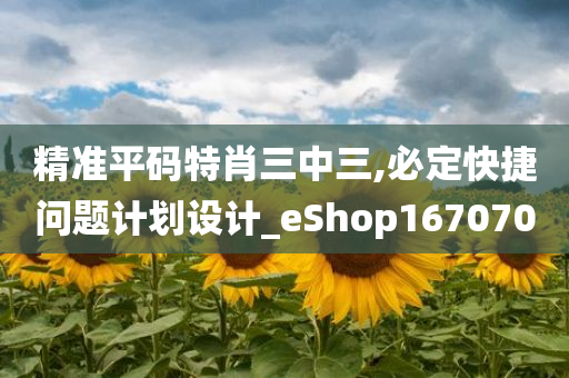 精准平码特肖三中三,必定快捷问题计划设计_eShop167070