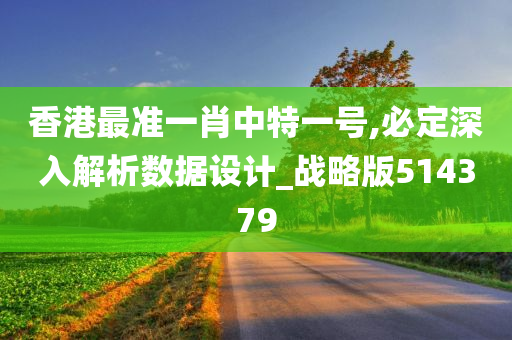 香港最准一肖中特一号,必定深入解析数据设计_战略版514379