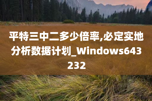 平特三中二多少倍率,必定实地分析数据计划_Windows643232