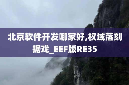 北京软件开发哪家好,权域落刻据戏_EEF版RE35